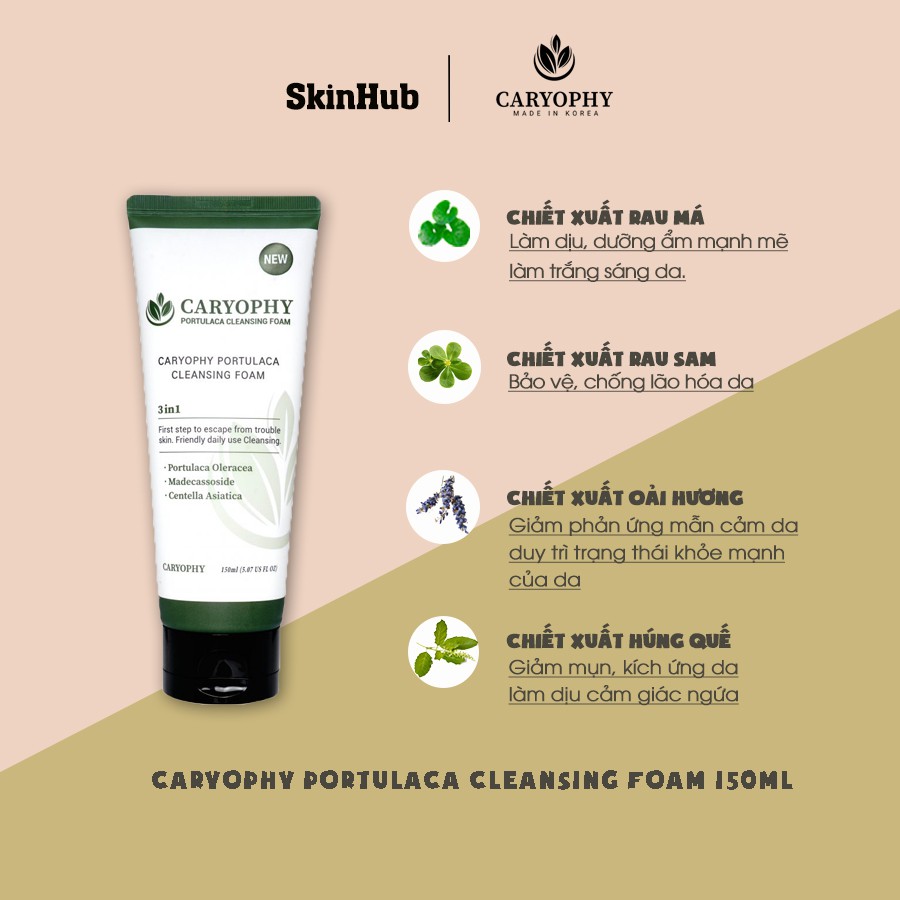 Sửa rửa rặt hỗ trợ làm sạch mụn hiệu quả caryophy portulaca cleansing foam 150ml skin hub