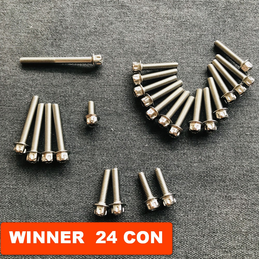 [SÁNG BÓNG] Bộ ốc lốc máy xe máy INOX kiểu SALAYA gắn xe WINNER 150