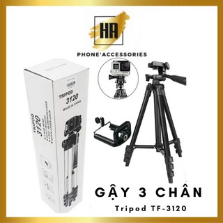 Gậy chụp hình, chụp ảnh 3 chân Tripod 3120 cao cấp, dễ dùng - tặng kẹp smartphone (video anh that) phukienhuonganh