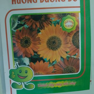 Hạt giống hoa Hướng Dương đỏ - Rau củ quả trồng tại vườn, sân thượng, nông trang, ban công