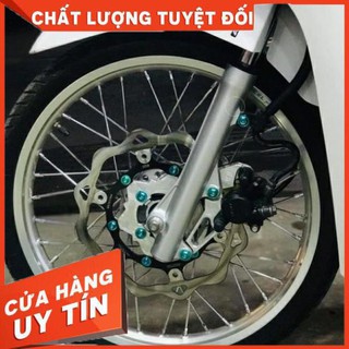 Pas dĩa 260mm heo zin vision