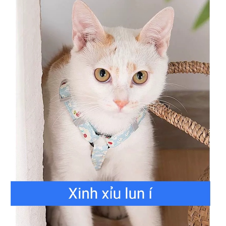 Dây Dắt Mèo Đi Dạo, Dây Dắt Mèo Dạng Yếm - Họa Tiết Nhật Bản 4 màu Chanh Sả