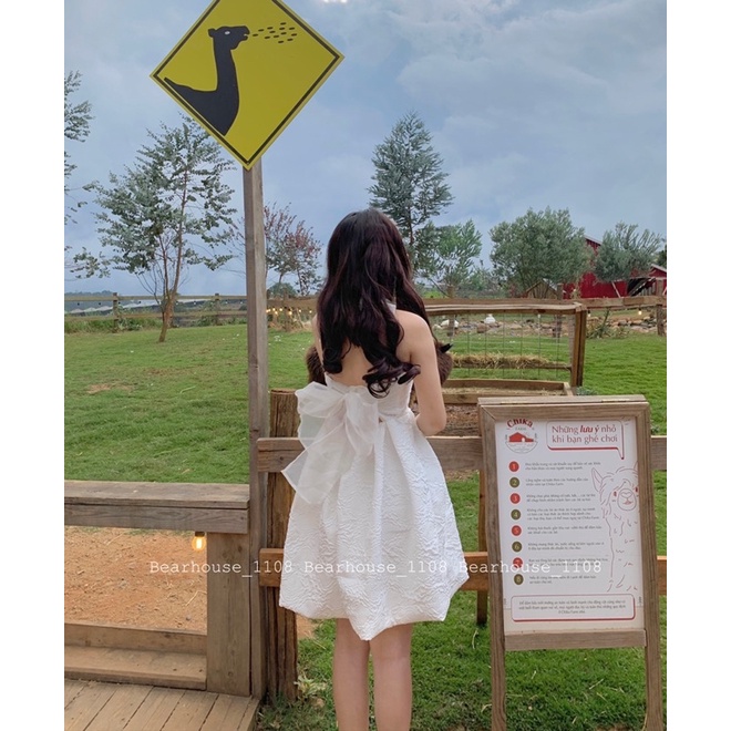 ❌ ĐẦM - VÁY GẤM HỞ LƯNG ĐI TIỆC * VENUS * | BigBuy360 - bigbuy360.vn