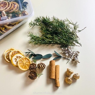 Set chanh, quế, thông khô đạo cụ chụp ảnh, trang trí noel…