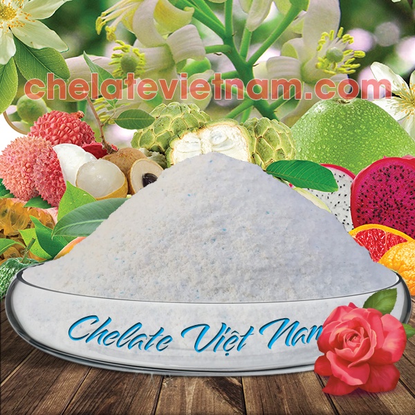 Phân bón vi lượng Combi Chelate 02  gói 100g