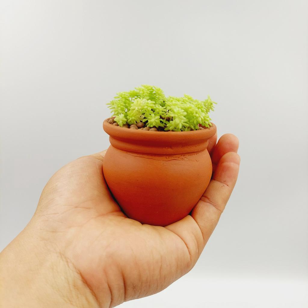 Chậu đất nung, chậu sen đá - Chum mini, miệng chậu 6.5cm, chiều cao 6cm
