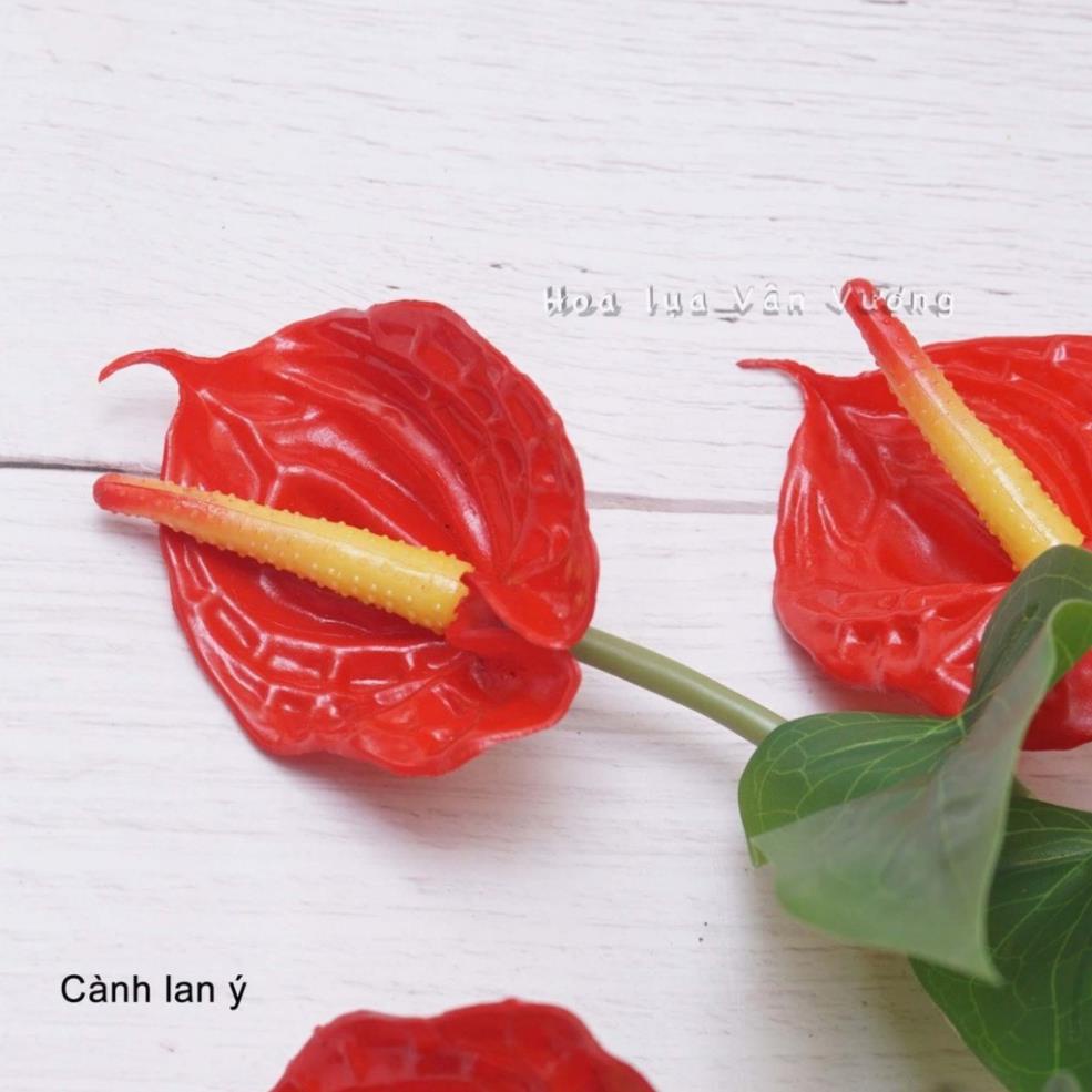 Cây giả - Cây Hoa Lan Ý  Cao Su 3 bông 18 lá