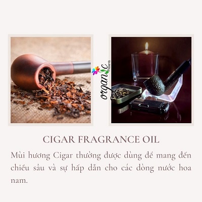 HƯƠNG CIGAR N/A