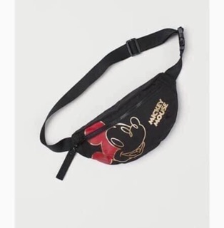 Túi bao tử mickey
