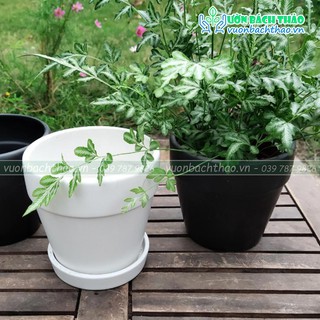 Chậu sứ trồng cây để bàn mini 07