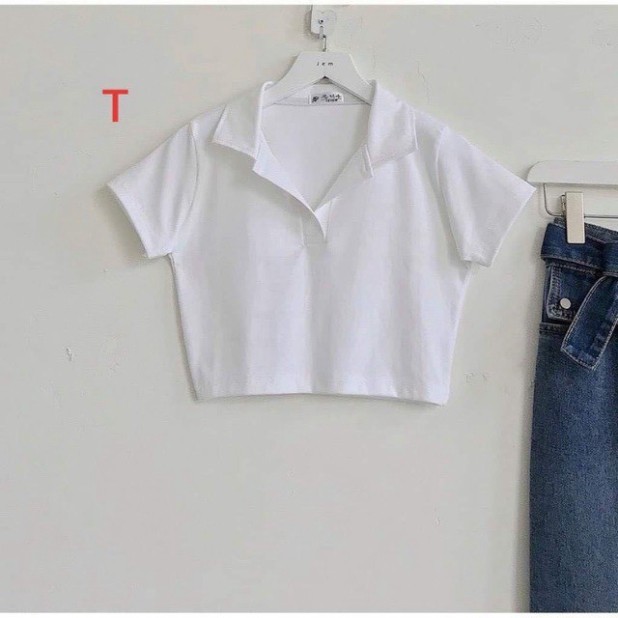 Áo Croptop Polo Basic CT14 chất thun dày dặn mềm mại kiểu dáng Ulzzang