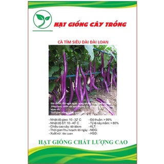 Hạt giống cà tím siêu dài đài loan ct272 - gói 0.3gram