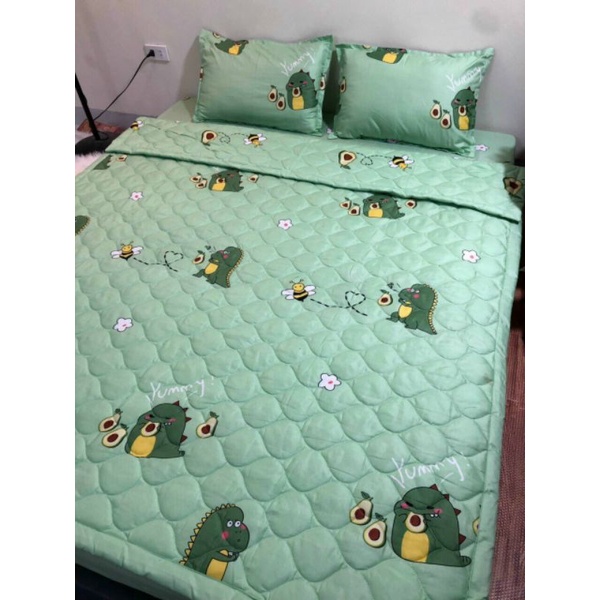 Bộ chăn hè trần bông ga gối 5 món poly cotton Hàn Quốc hàng loại 1