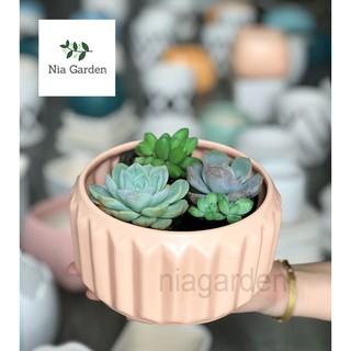 Chậu cây đất nung trồng sen đá xương rồng khía tròn Nia Garden N1