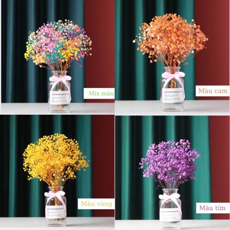 Bình hoa thuỷ tinh kèm hoa baby khô cắm sẵn cao 25cm trang trí, decor, làm phụ kiện chụp ảnh đẹp