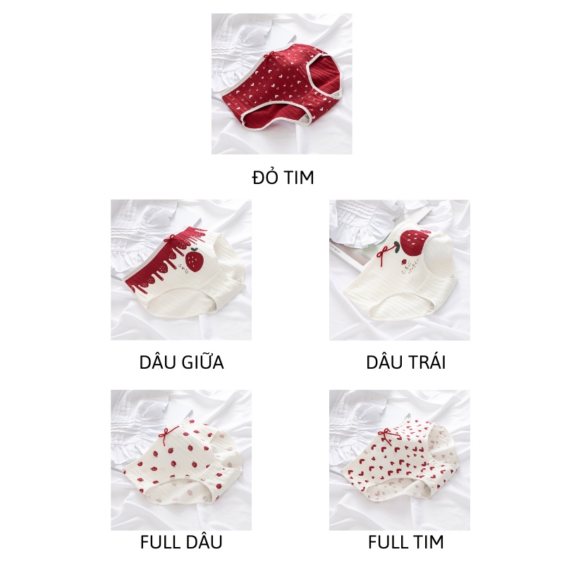 Quần lót nữ cotton cao cấp in hình dâu tim cute đáng yêu QL25 | BigBuy360 - bigbuy360.vn