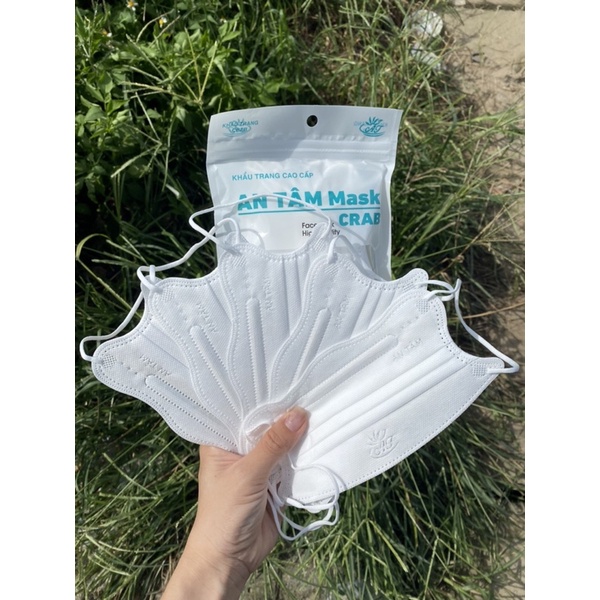 Thùng 300 chiếc khẩu trang KingKua An Tâm