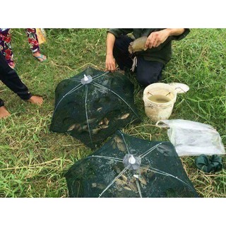 LƯỚI BÁT QUÁI 8 CỔNG BẮT CÁ