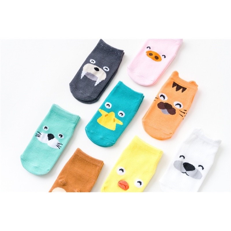 Combo 5 đôi tất Kids snocks cho bé trai/bé gái