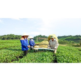 Túi đựng chè cho máy hái chè đơn