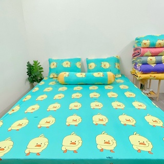 set 4 drap áo gối THUN LẠNH HÀN QUỐC