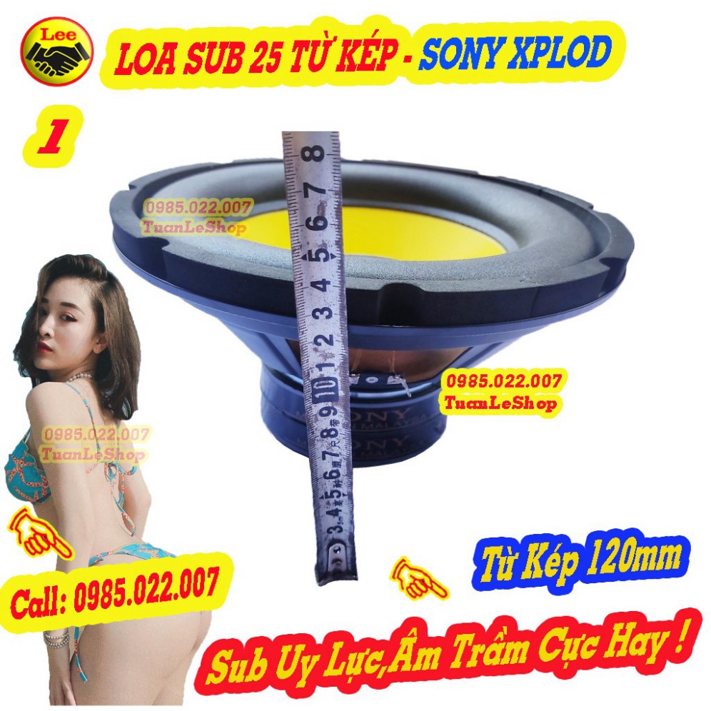 02 LOA SUB 25 MÀNG VÀNG TỪ KÉP 120 SONNY – CẶP SUB 2.5 TẤC TỪ KÉP NHẬP KHẨU MALAYSIA