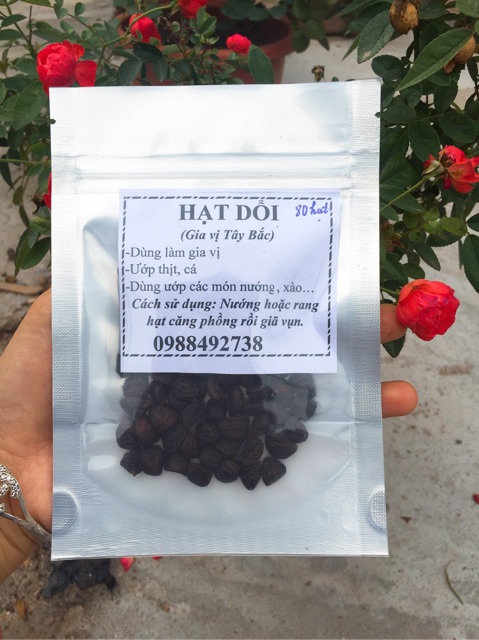 HẠT DỔI NẾP RỪNG - GIA VỊ TÂY BẮC (BÁN LẺ HẠT)