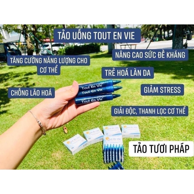 Tảo tươi Pháp Tout En Vie hộp 14 ống đẹp da, tốt cho sức khoẻ