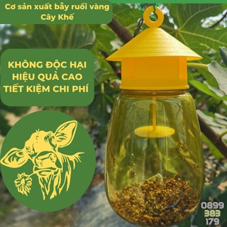 Bẫy ruồi vàng có thuốc diệt ruồi vàng, thuốc dẫn dụ, dùng được cả trong mùa mưa, dùng trên cây ăn trái, cây rau màu...
