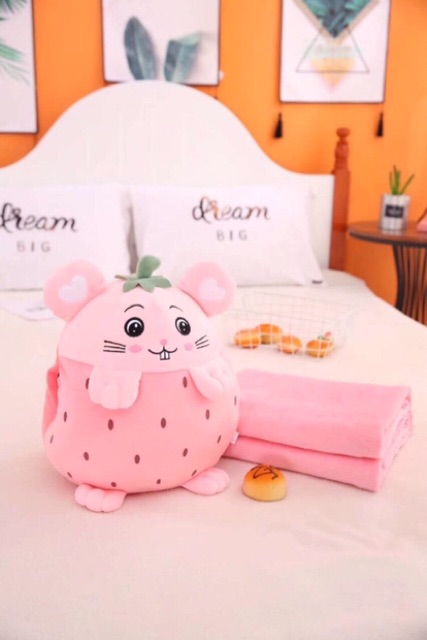 Bộ chăn và gối văn phòng hoa quả mẫu mới nhất( có ảnh chụp thật)