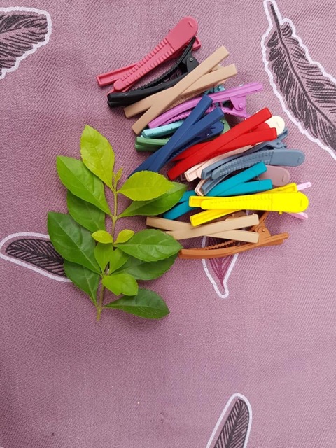 KẸP TÓC MÀU lÌ KẸP TÓC MÀU HÀN QUỐC CHỮ X