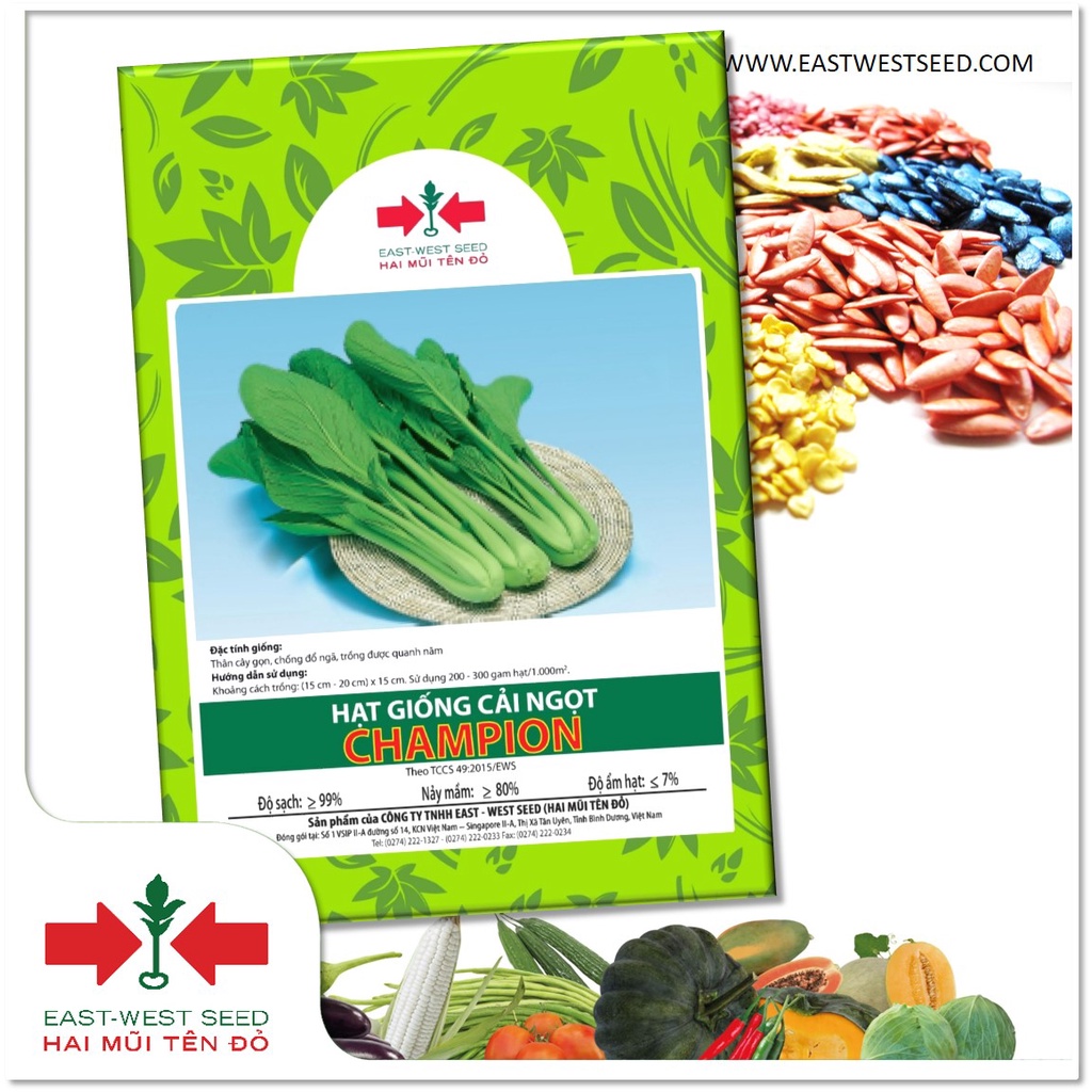 GÓI 20g CẢI NGỌT CHAMPION CỦA EAST-WEST SEED