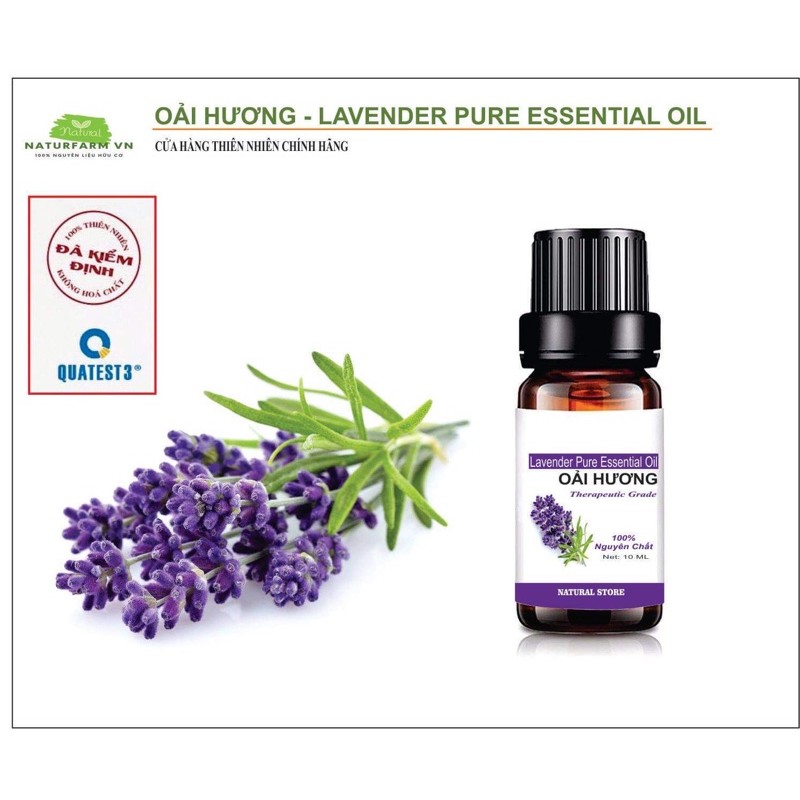 [ 10ML ] Tinh Dầu Oải Hương 100% Nguyên Chất Organic ( Lavender Pure Essential Oil )