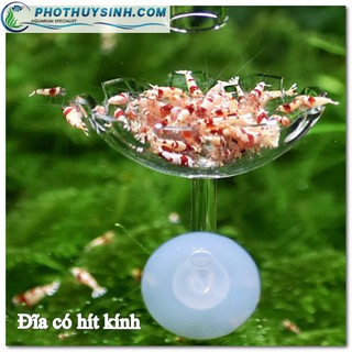 Chén, đĩa thức ăn cho cá, tép