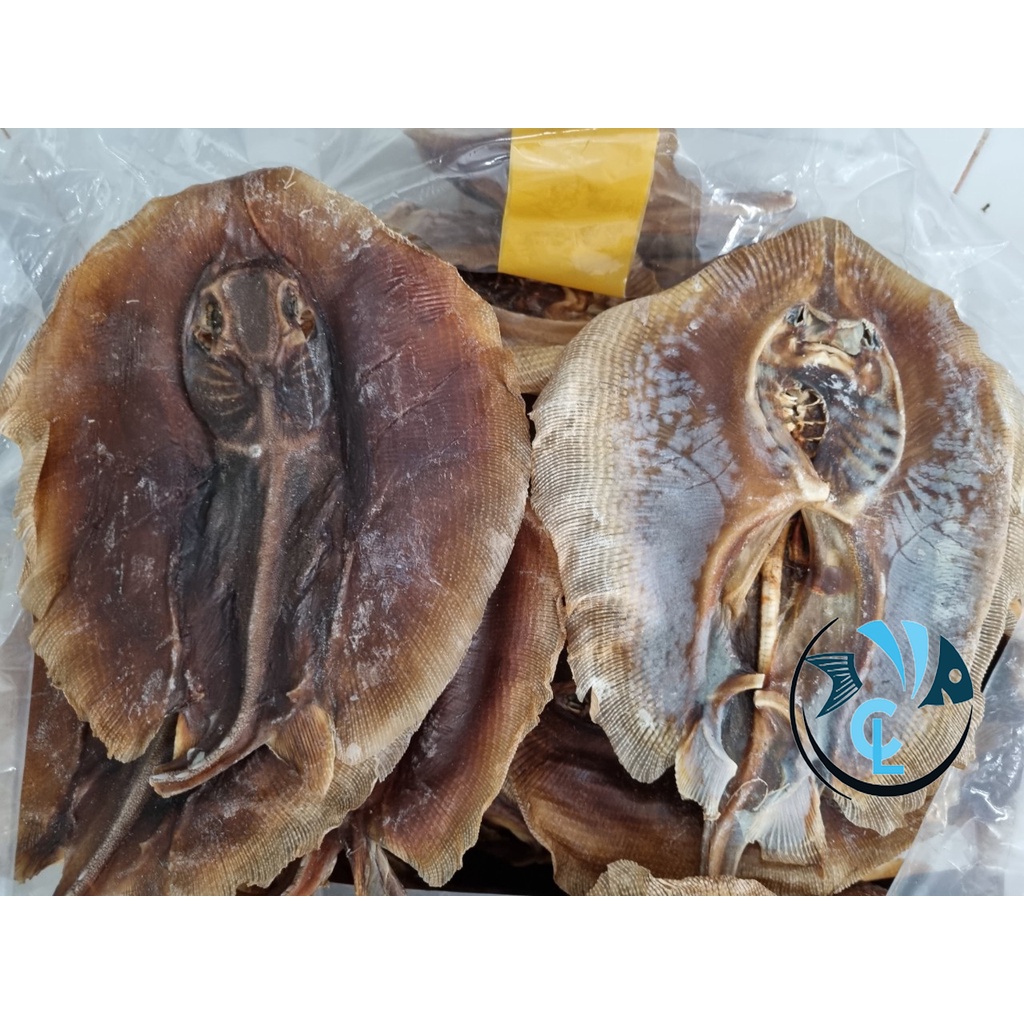 KHÔ CÁ ĐUỐI Đen loại nguyên con Đặc Sản xứ Biển 500gr - 1kg
