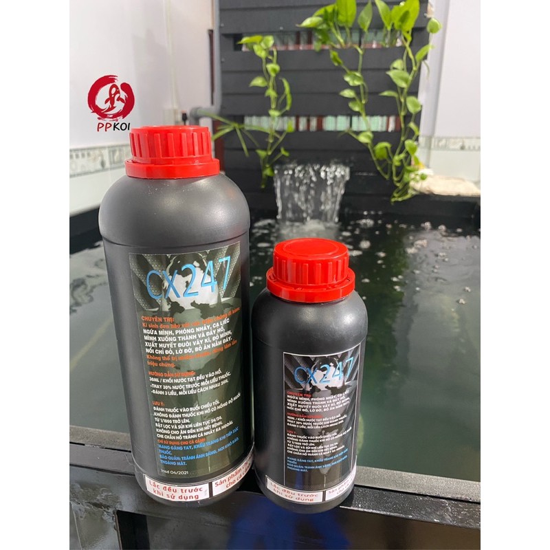 Cx247 Trị Ký Sinh Trùng Đơn Bào cho cá koi chai 500ml & 1000ml