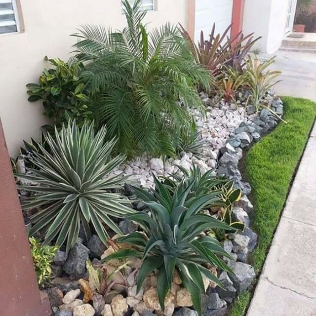 Shophoa Đỗ Quyên