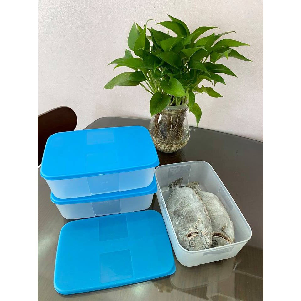 Sét 3 hộp Trữ Đông 1,7L - Tupperware