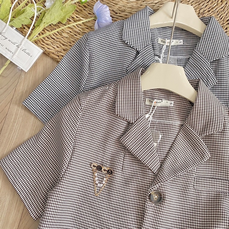Set Dạ Kẻ Croptop Chân Váy Xếp Ly 2 Màu Kèm Tag Có Ảnh Thật