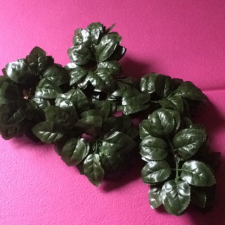 1KG LÁ HỒNG NHỰA