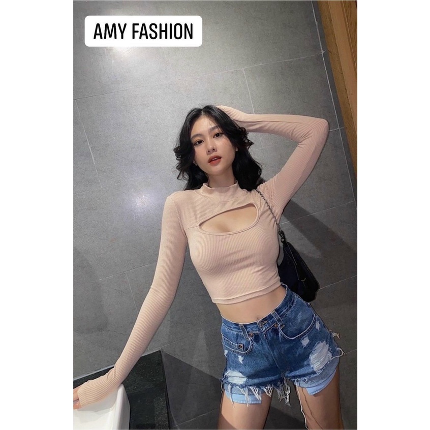 Áo Croptop Tay Dài Cổ Lọ Xẻ Ngực Cool Chất TTVV0095