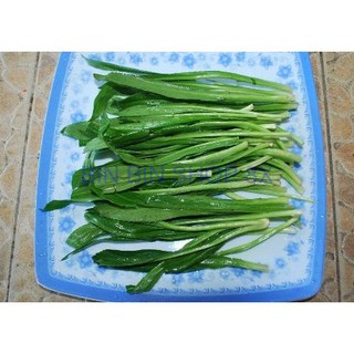 Hạt giống Rau Mùi Tàu ( Răng cưa )