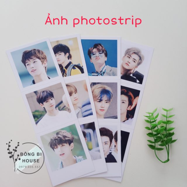 In ảnh photostrip - in ảnh theo yêu cầu - bông bi house