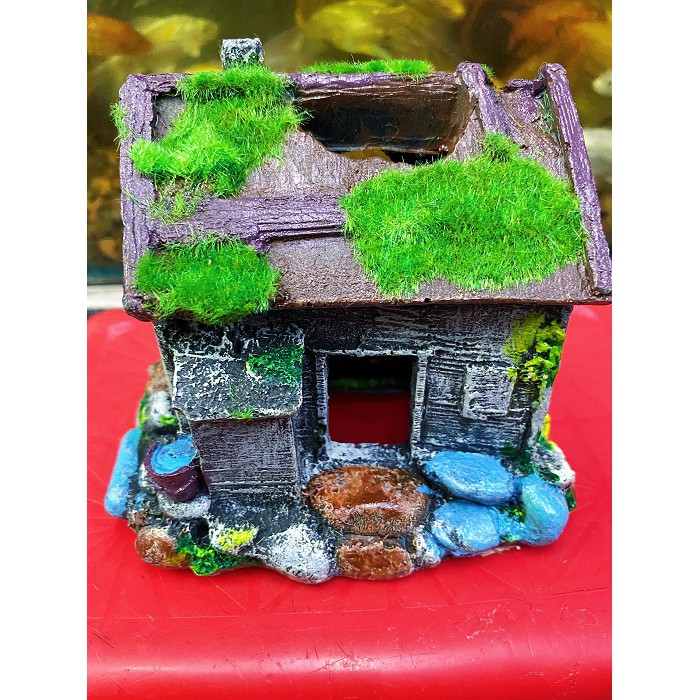 CẢNH NHÀ PHỦ RÊU TRANG TRÍ HỒ CÁ NON BỘ 14X10X12CM