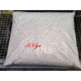 Đá perlite (túi 500gr)