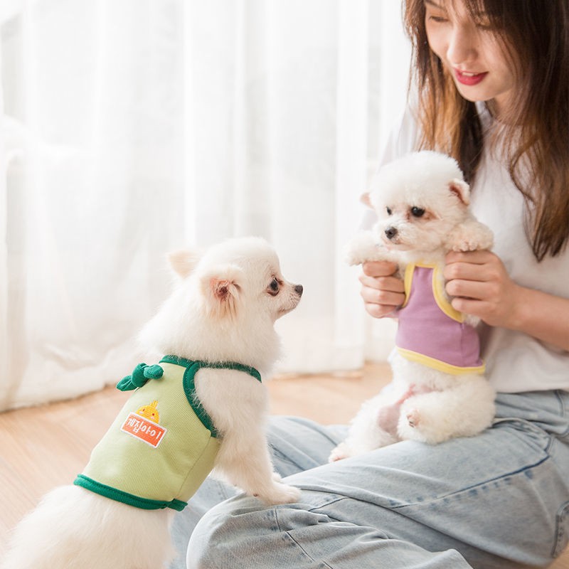 Phiên bản Hàn Quốc của con chó mùa hè áo vest mỏng Teddy Bichon Hiromi Thú cưng xuân và nhỏ Yorkshire quần