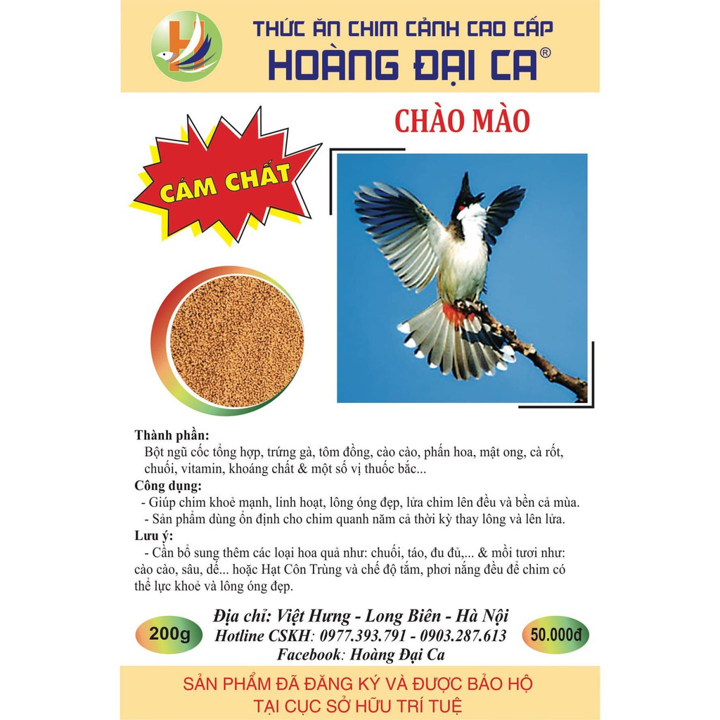 Cám Chim Chào Mào Hoàng Đại Ca Comboo 5,10 Gói Cám Chim Chất và Mát giúp Chim chơi bền hơn, tiết kiệm hơn