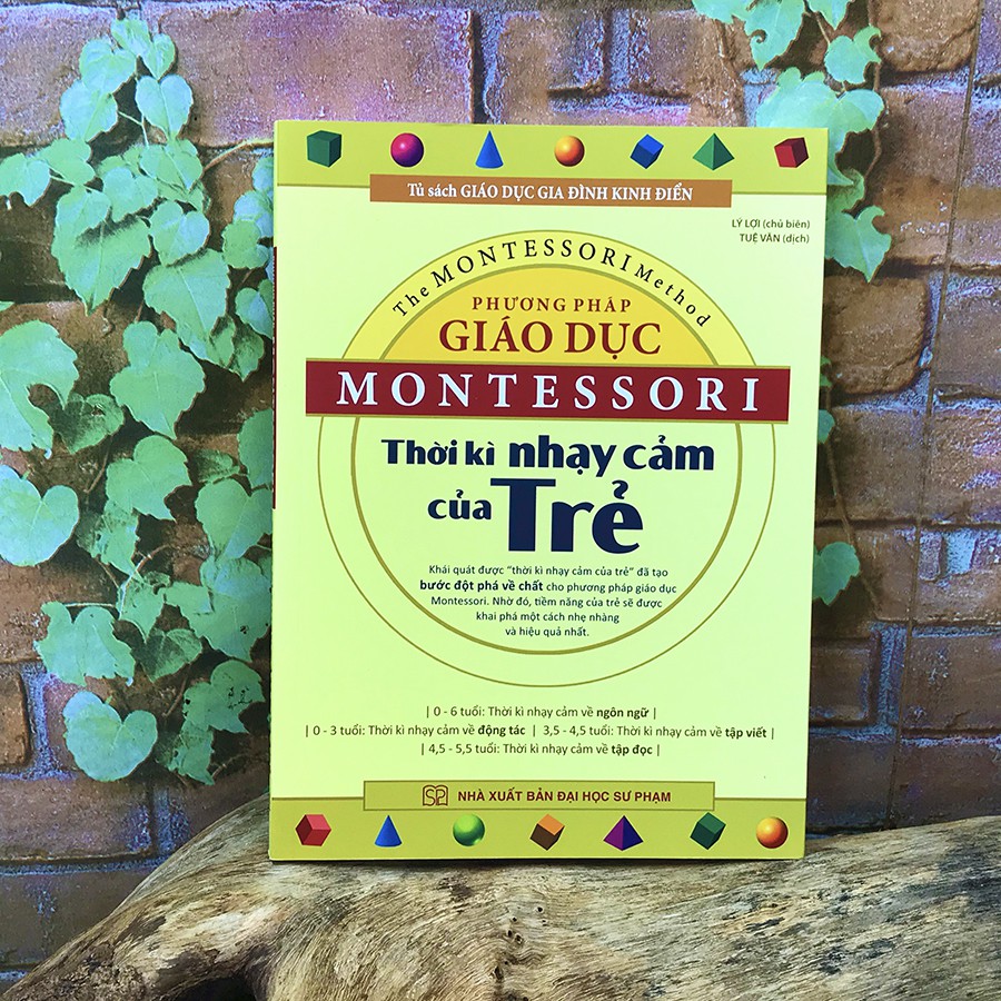 Sách - Phương pháp giáo dục Montessori - Thời kỳ nhạy cảm của trẻ | BigBuy360 - bigbuy360.vn