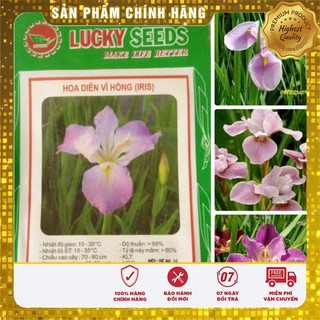 Hạt Giống Hoa Diên Vĩ Hồng