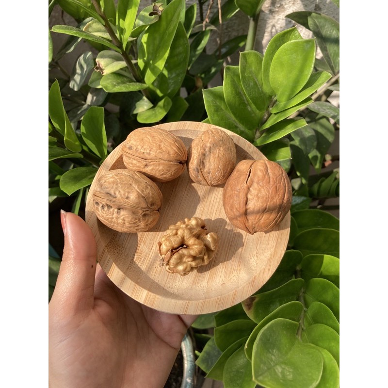 Hạt Óc Chó Tách Vỏ Mỹ Hạt Sống Làm Sữa Hạt / Bánh / Ngũ cốc granola